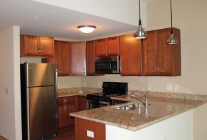 The Monroe - Kitchen